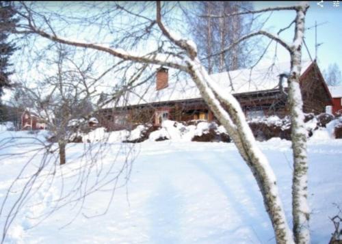 Beautiful 4-5 persons Cottage in Alvdalen